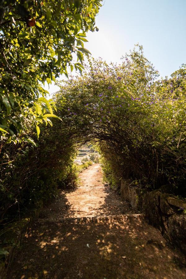 Quinta Da Fonte - Agroturismo Barroselas Exterior foto