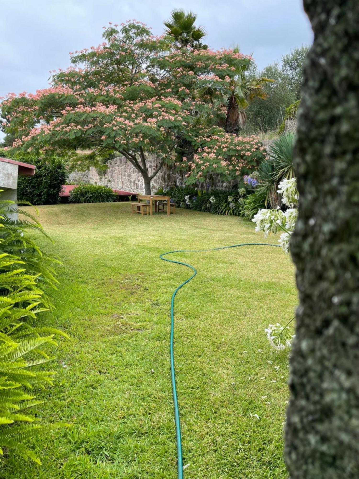 Quinta Da Fonte - Agroturismo Barroselas Exterior foto