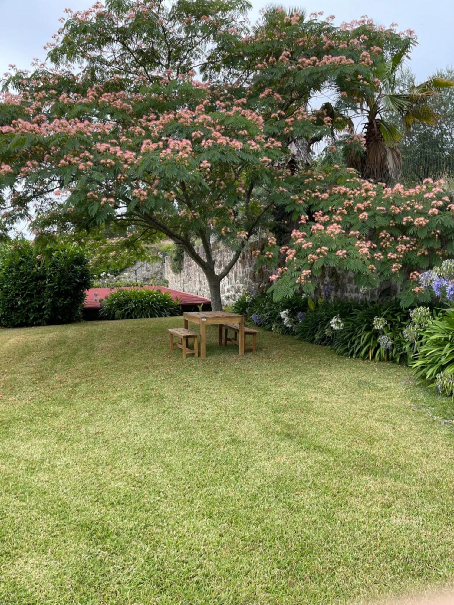 Quinta Da Fonte - Agroturismo Barroselas Zimmer foto